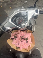 La Hải Anh