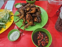 Loan Trần