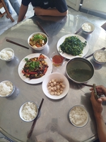 bảo hiếu 767