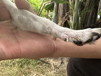 Trương Hậu