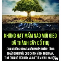 Tao tháo