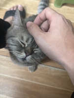 Nguyễn Văn Ngọc