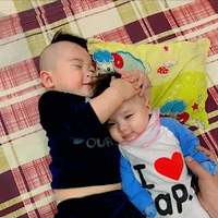 phi le
