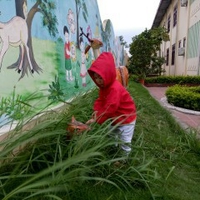 Thơ Tình Của Núi