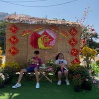 Mỹ Mỹ