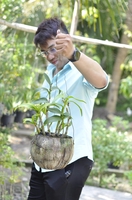 Nhật Vũ