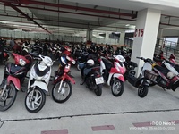 Tùng Nhân Lưu