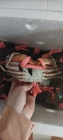 Hải sản miền tây