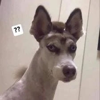 Hoàng Nguyễn Nhật