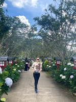 Huyền Lê