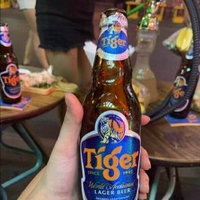 Thanh Tiger