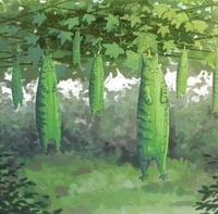 Trịnh Xuân Hiếu