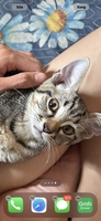 Trần Đức Bảng