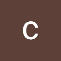 cuong bui