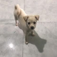 Hiếu Công