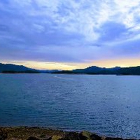 Sói Đơn Độc 79