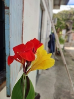 Hải Đăng