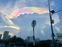 Quỳnh Trang