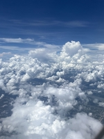 Nguyễn Hoàng Gia Thái