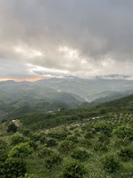 Hoàng An