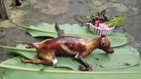 Đại Gia