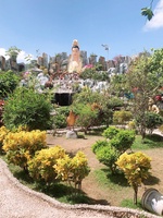 Phương Tuyền Phương Mini