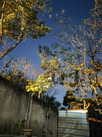 Hà 