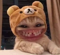 EM BÁN CODE PHIM VIEON RẺ 30K