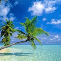 Vạn Sự Tuỳ Duyên