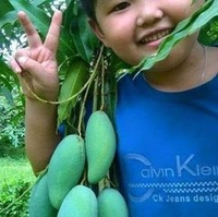 Huỳnh Văn Điền