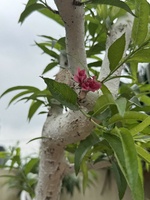 Thành công
