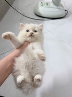 Quỳnh Hương Đoàn Thị