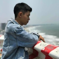 Vũ Mạnh Lực