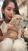 Mộng Thuỳ