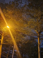 Lương Phúc