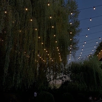 Mai Hương Nguyễn Thị