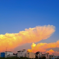 Huỳnh Nguyễn Hoàng Phúc