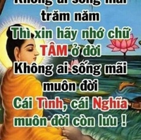 anh phong cho gao