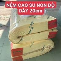 Vĩnh Long Nệm Đông Á