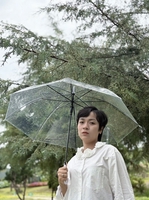 Ánh Vũ