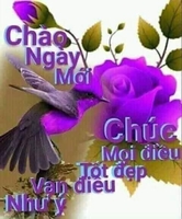Quang Dũng