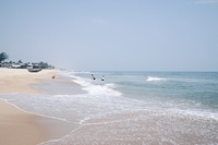 Mai Hương Phạm
