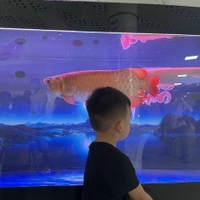Tân Trần