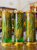 A Tỉnh