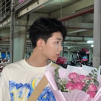 Lê Minh Thoại