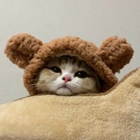 Mio Mỹ