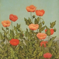 Ngô Hoàng Mỹ Nhựt