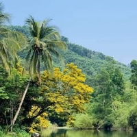 Lâm