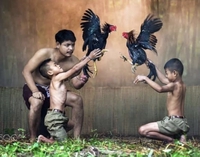 Tờ ai huyền Tài