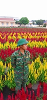 Miinh Tuấnn